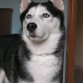 Elwood